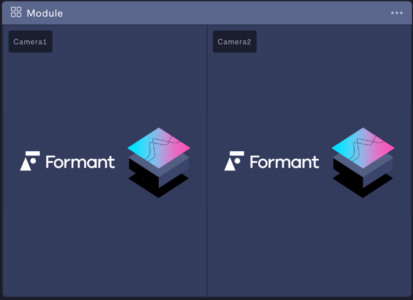 Image module with multiple image streams.