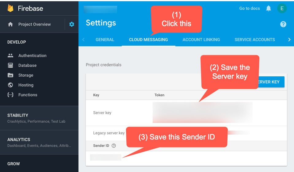 Keep a reference to the Server Key and Sender ID .png