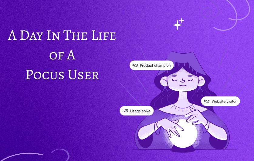 A Day in The Life of a Pocus User