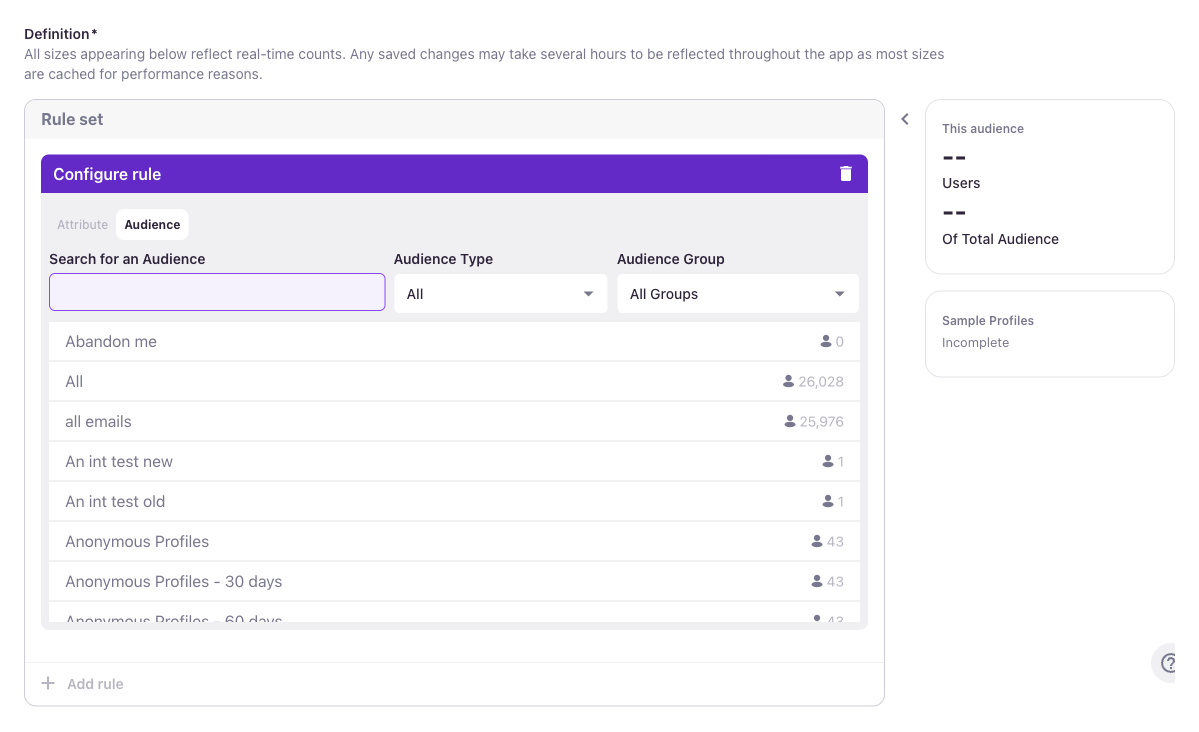 Audience tab showing existing audience selector