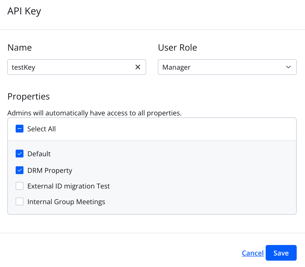 API Key panel