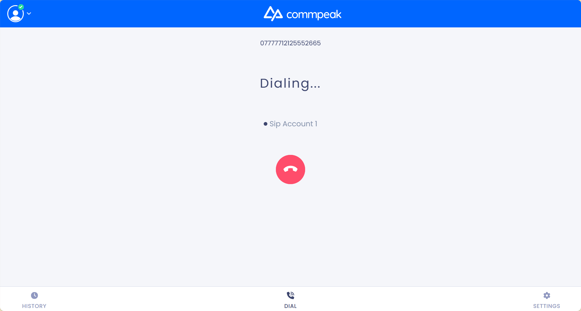 Screenshot of the echo test in progress