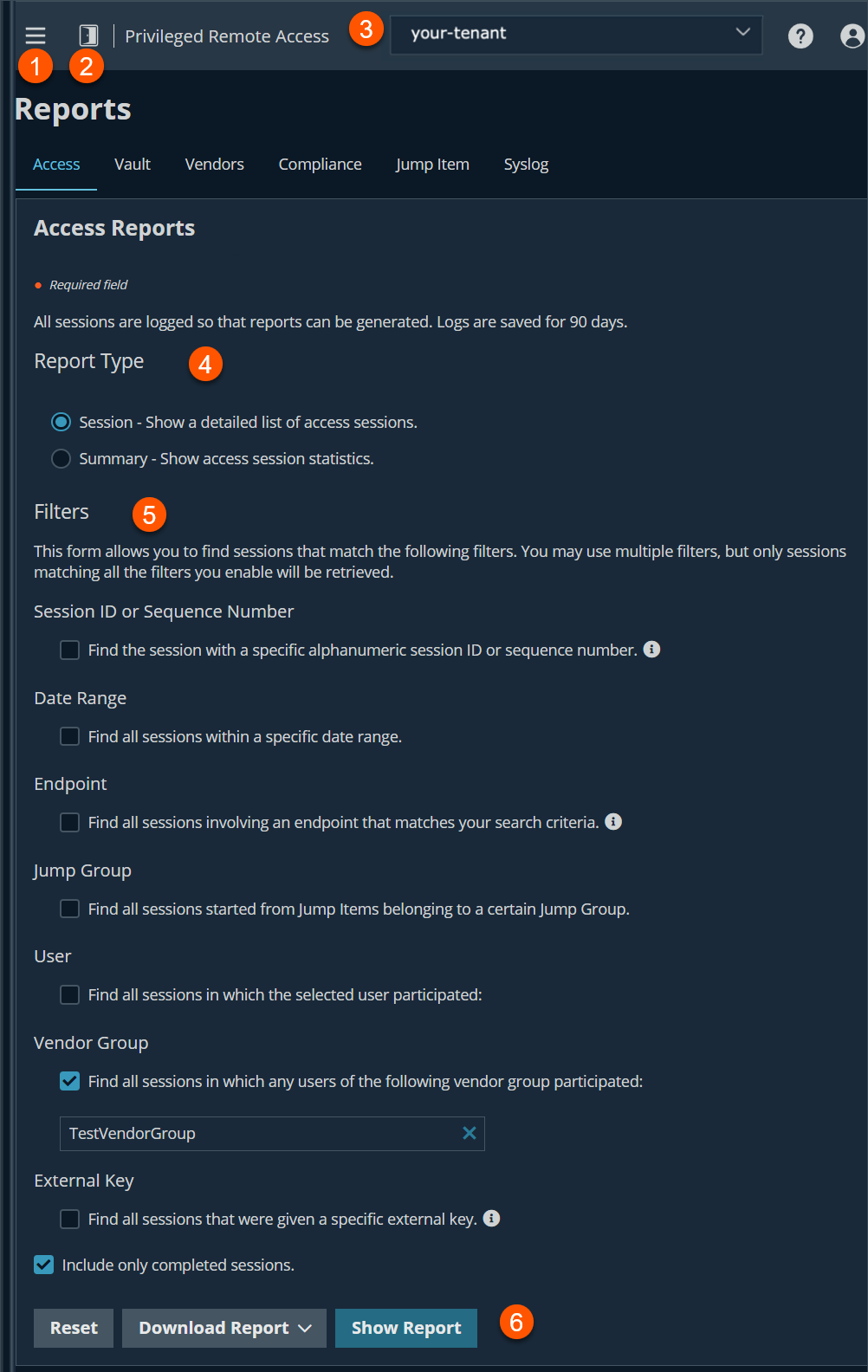 An image of the "Access Reports" section from a Privileged Remote Access system. The interface includes options to generate reports based on filters such as session ID, date range, endpoint, jump group, user, vendor group, and external key. Buttons for resetting the form, downloading the report, and showing the report are also visible.