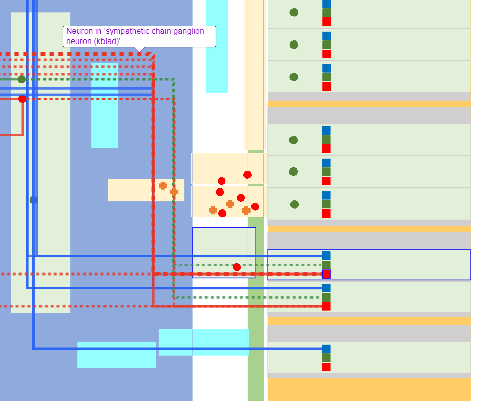 Hovering over connection pathway