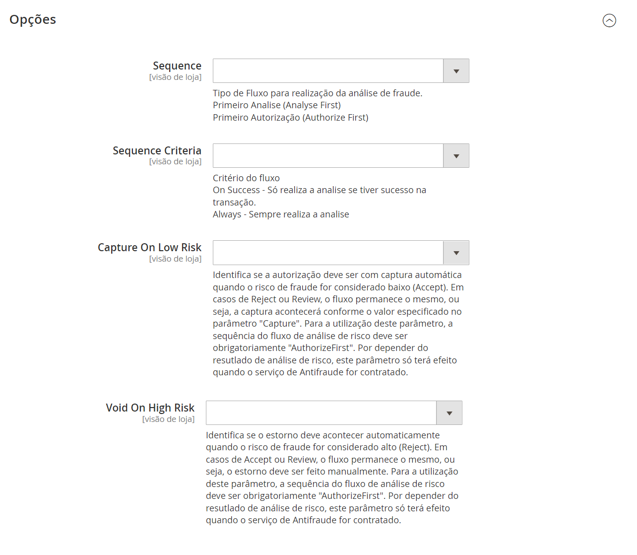 Tela com os campos de configuração a serem preenchidos na seção "Options"