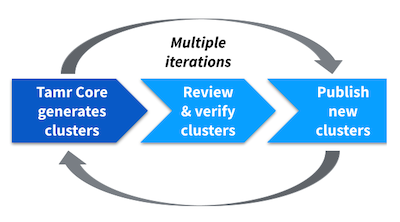 The iterative review and curation of important clusters allows the model to accurately and automatically cluster records into distinct entities. Step 1 is a darker shade of blue to indicate that Tamr Core completes this step.