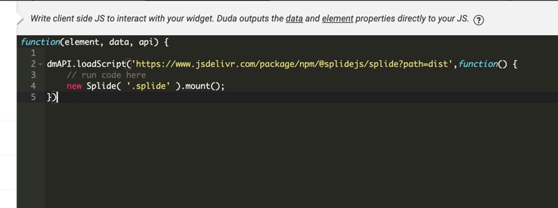 Using the dmAPI to load a 3rd party script in the widget builder