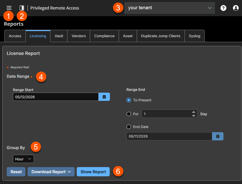 An image of the Licensing Report interface in a Privileged Remote Access system. The interface includes options to filter reports by date range.  You can also group by hour, day, or month.
