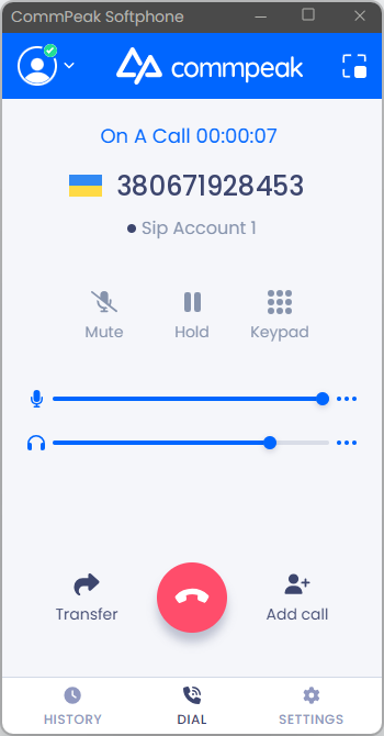 Screenshot of the active call in the full mode