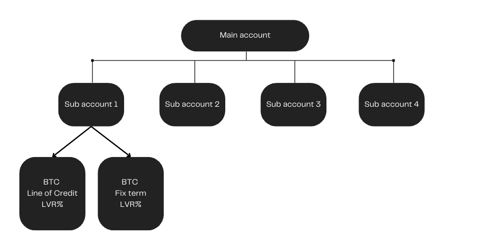 Main and sub account structure