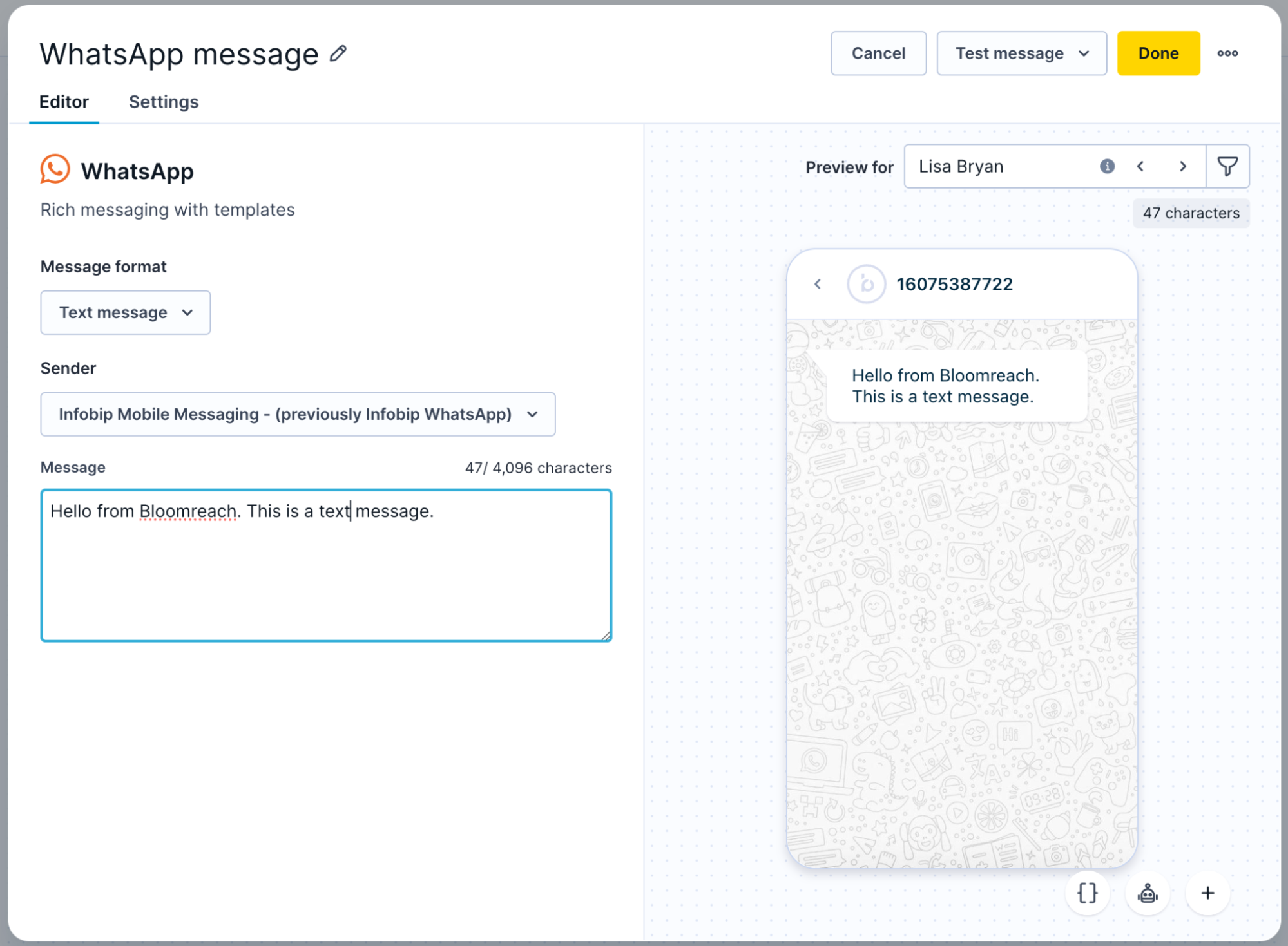 WhatsApp message editor showing a text message format selected with a live preview on the right.