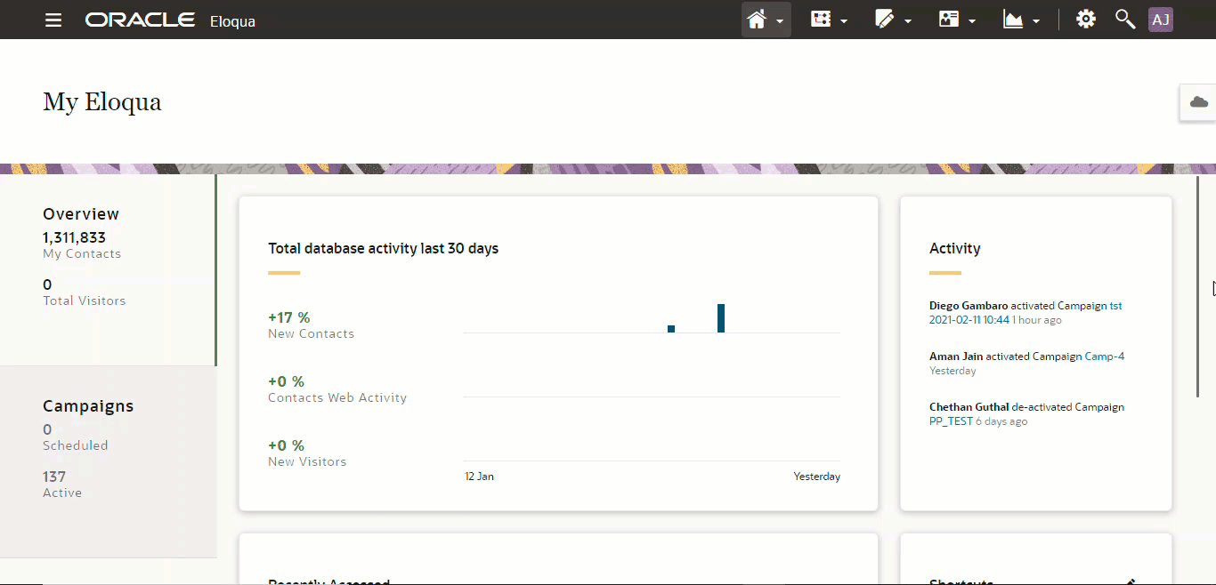 Program Canvas.gif