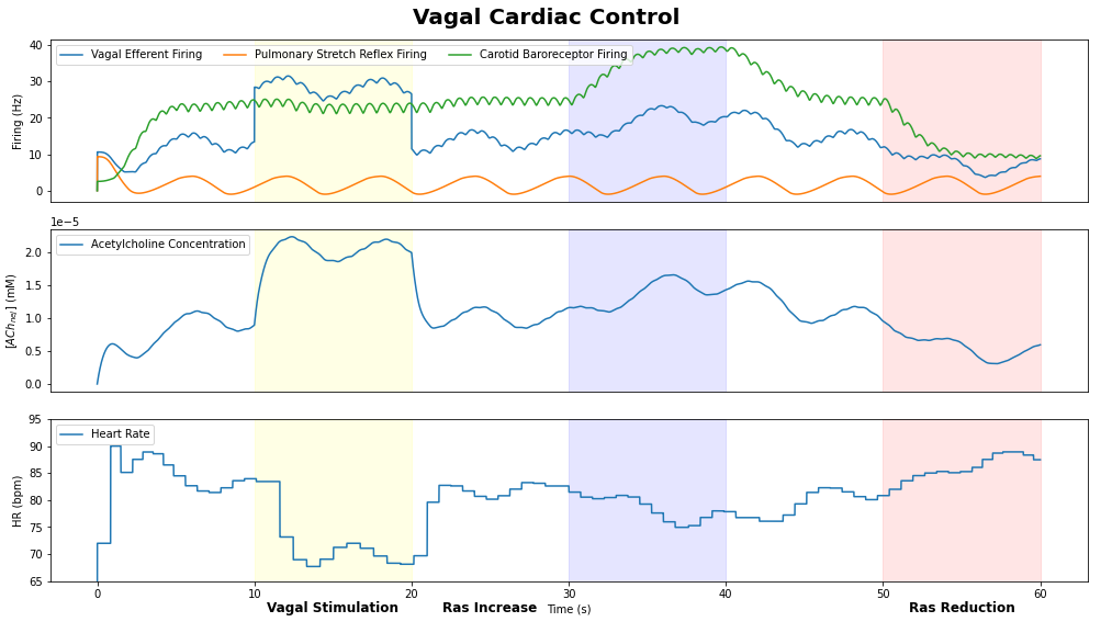 Figure 5: graphs showing the output of the model simulation