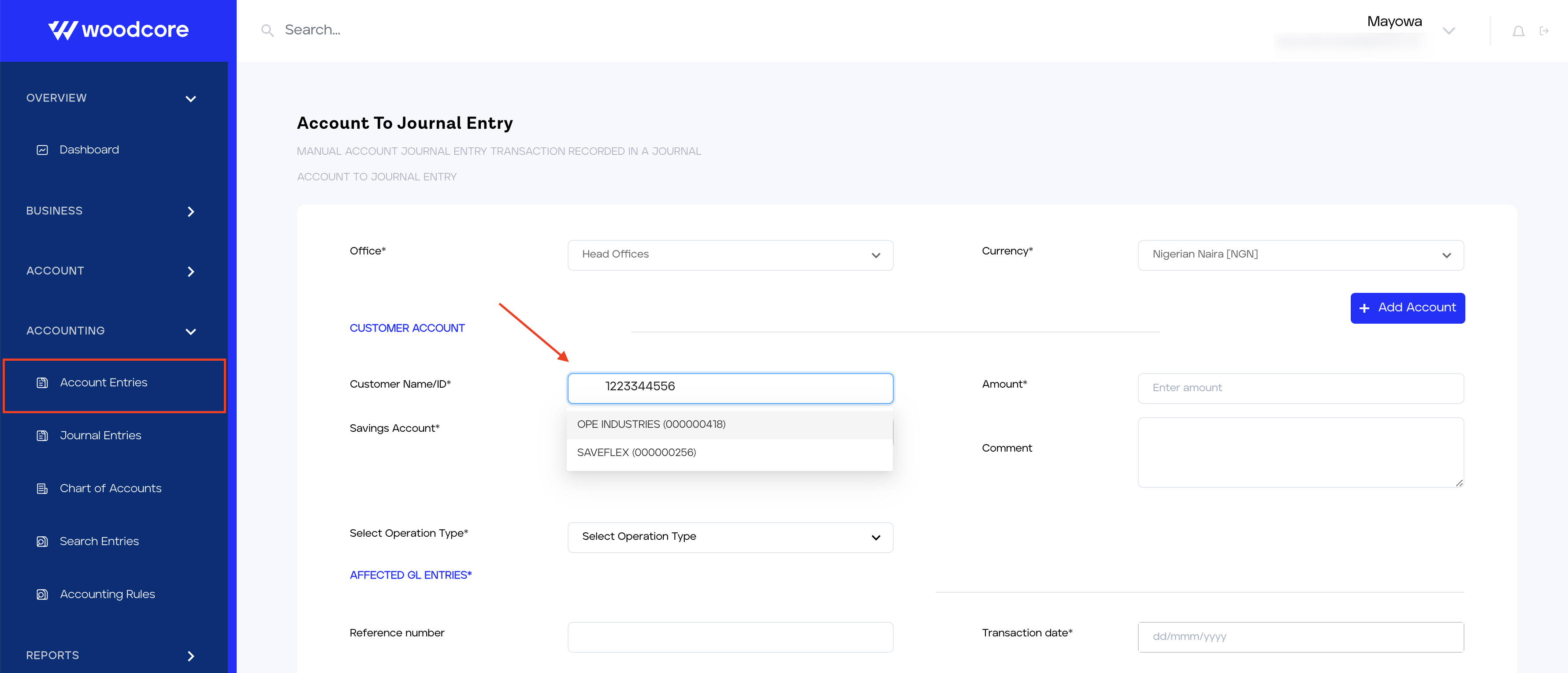 Account Entries Nuban Search