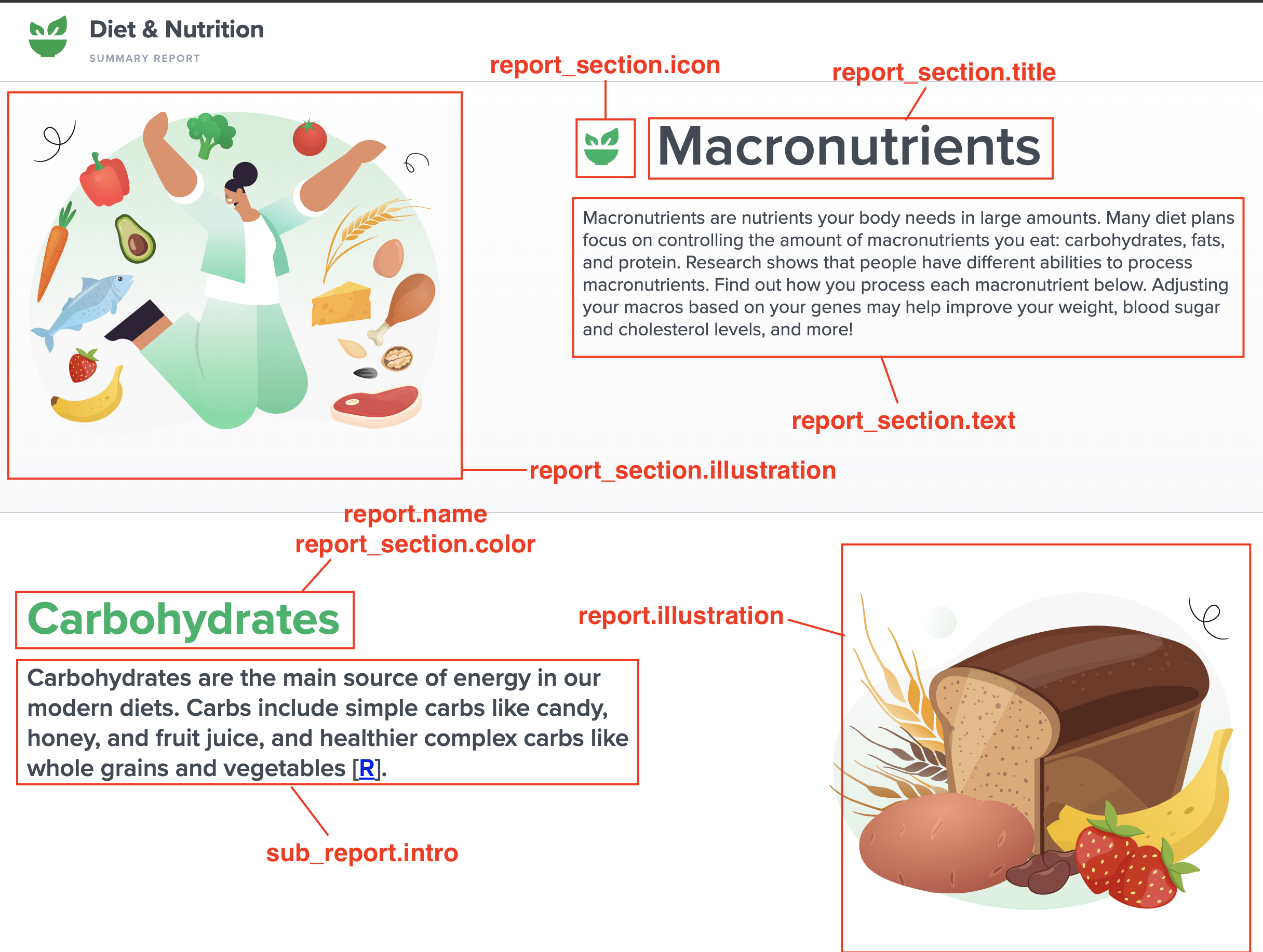 diet-details-section.png