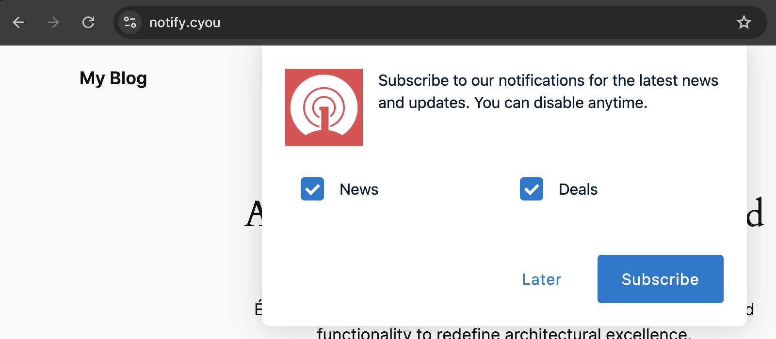 Example shows the slidedown prompt you setup in the OneSignal dashboard.