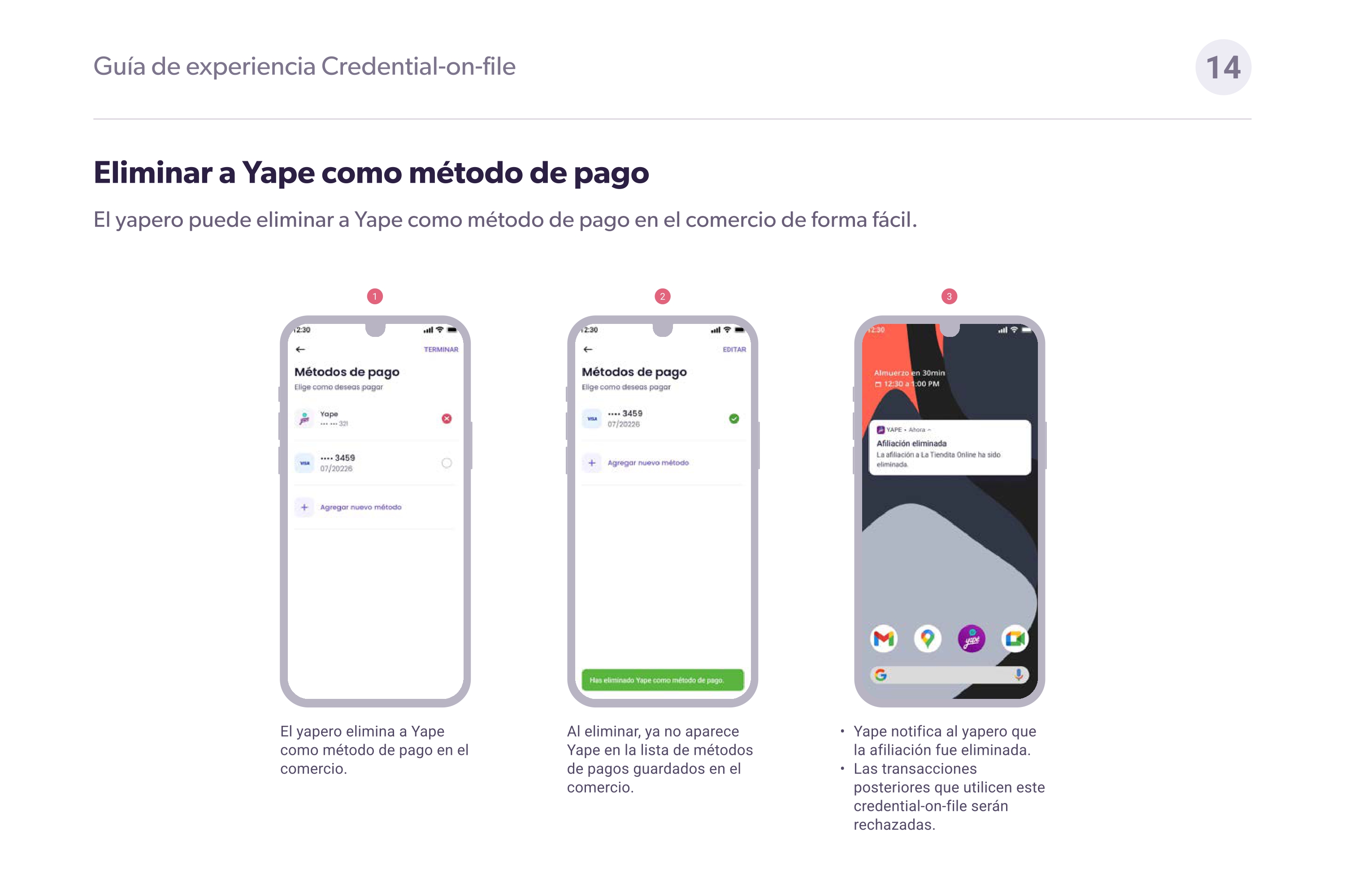 Guía visual - Yape en 2 columnas