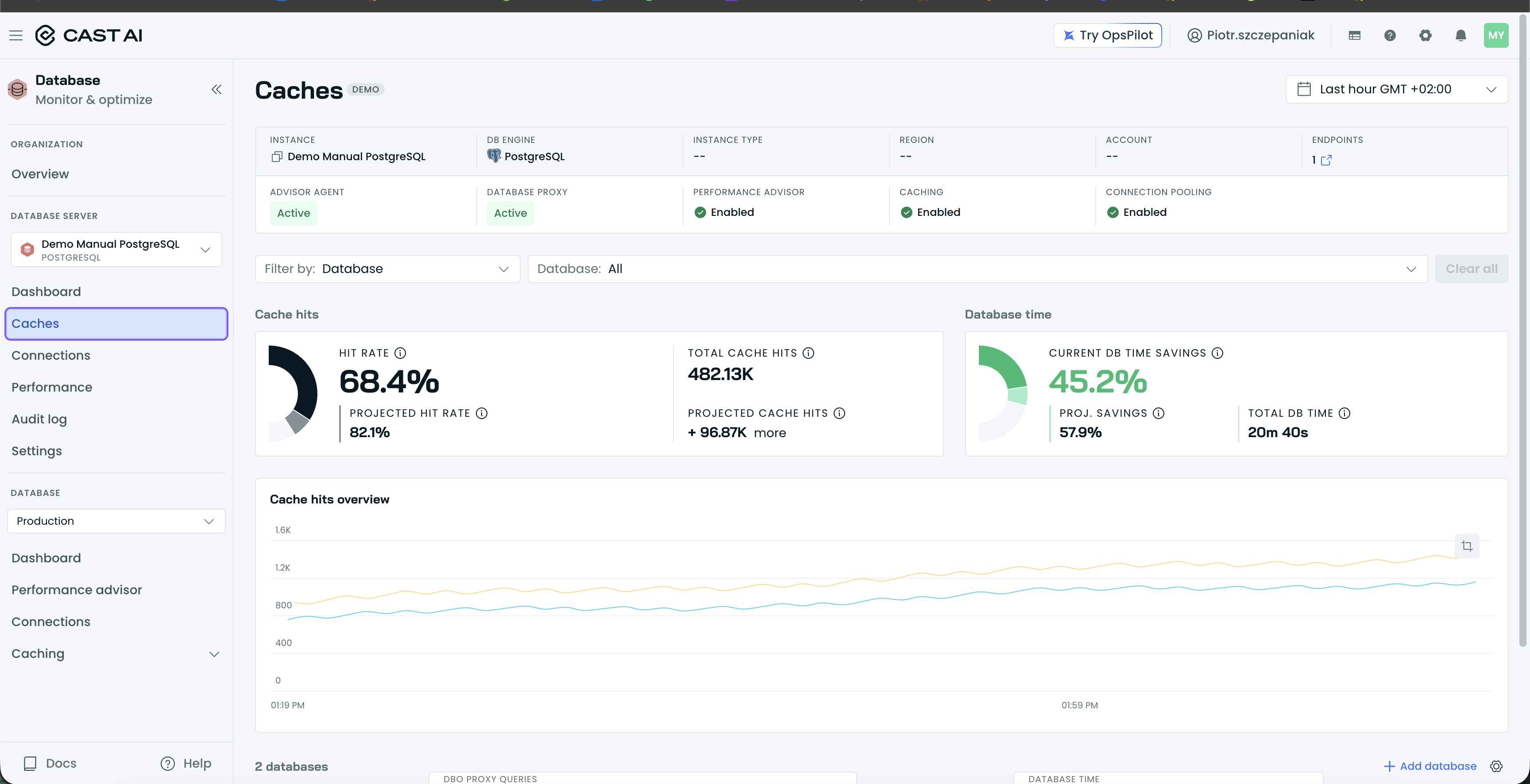 Instance Caches tab with the Cache hits and Database time cards and the Cache hits overview chart