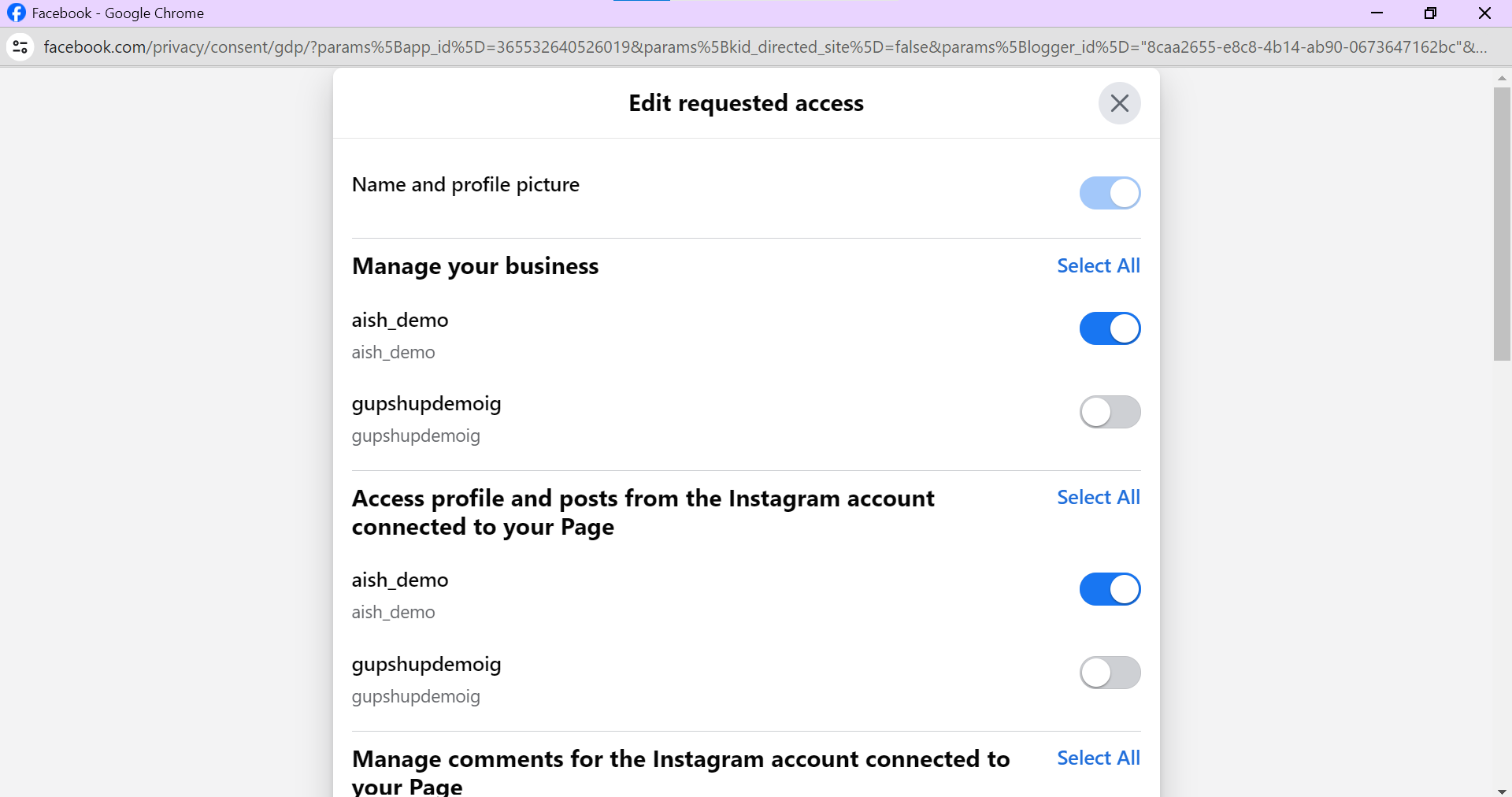 Selecting Instagram business accounts