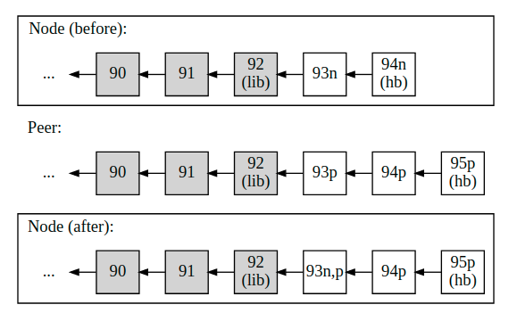 Network Peer Protocol EOSIO Developer Docs(5).png