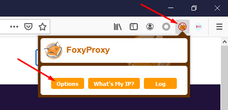 Foxyproxy settings on Firefox