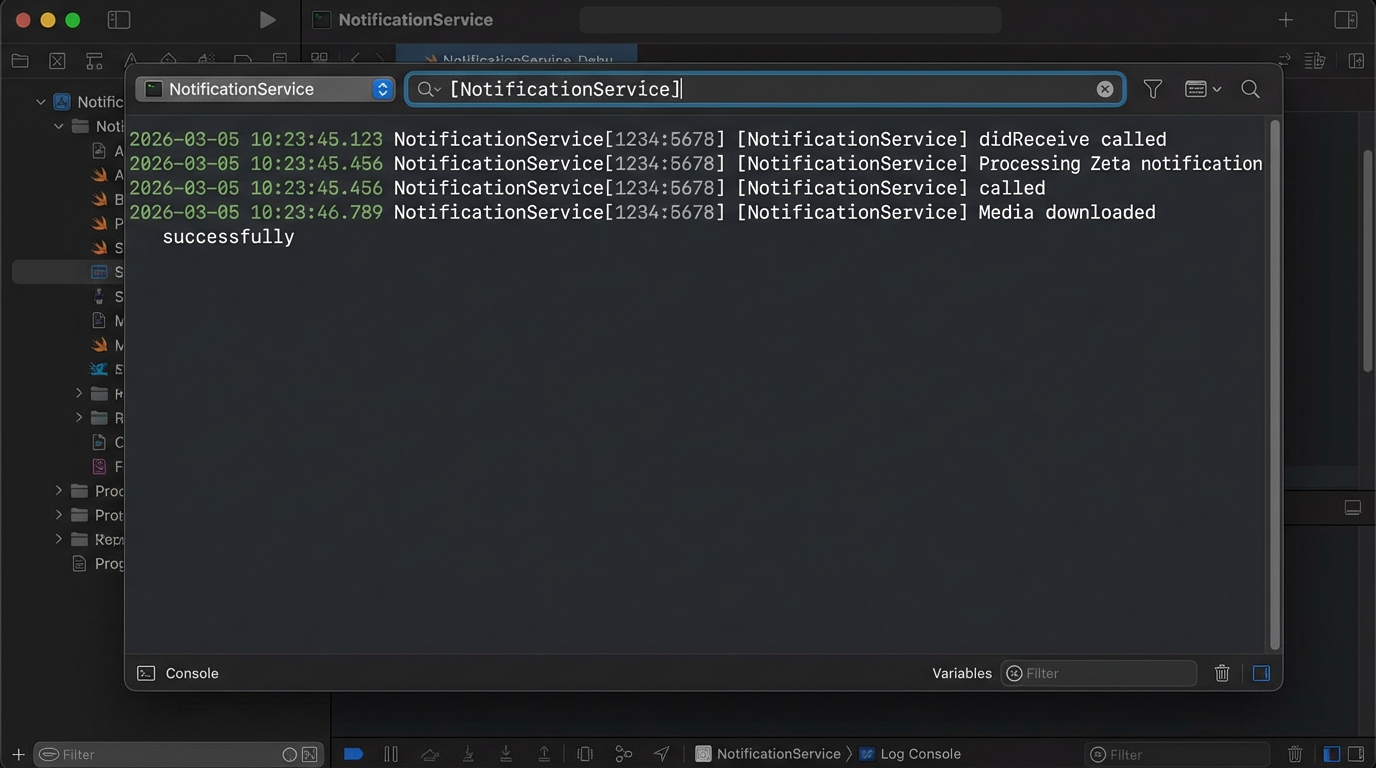Xcode console filtered for extension logs
