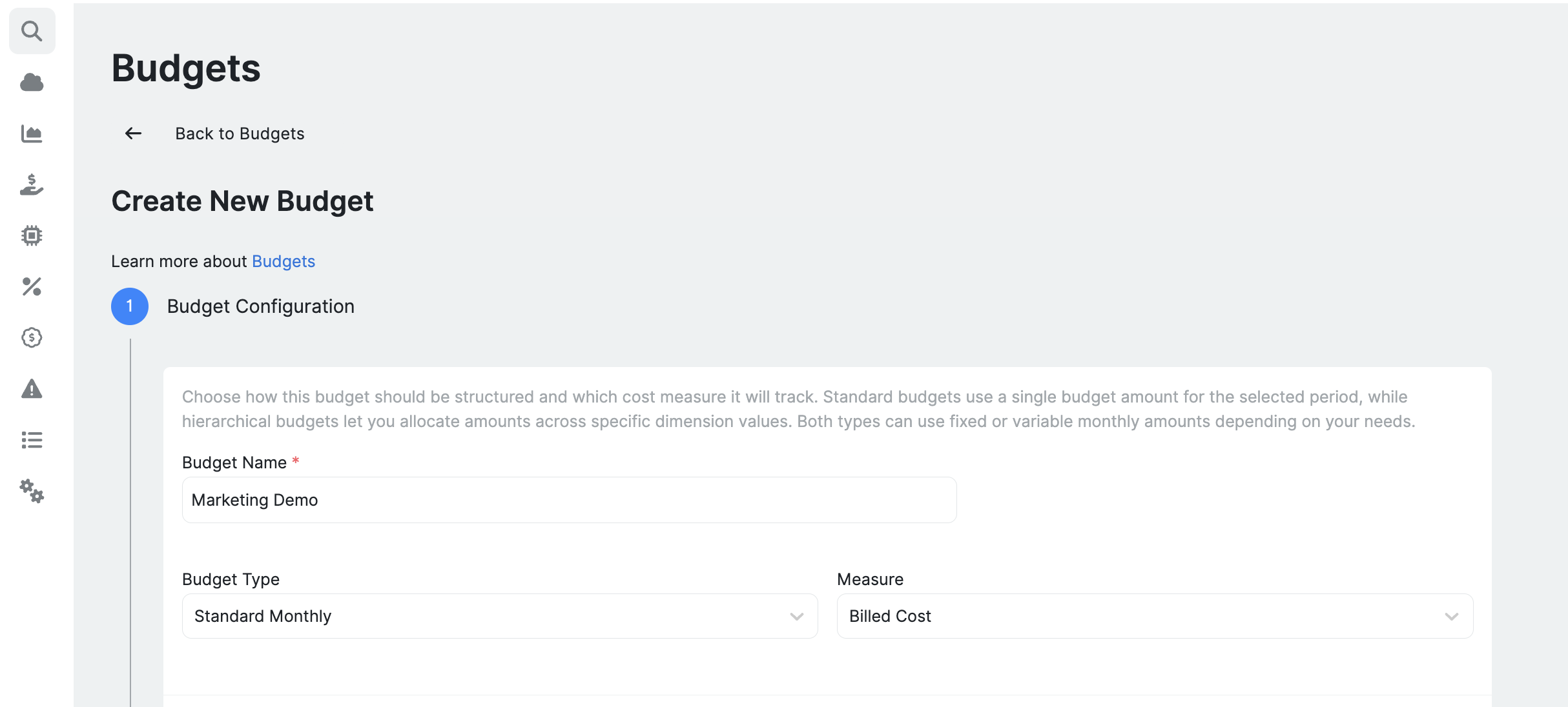 Define budget details and scope