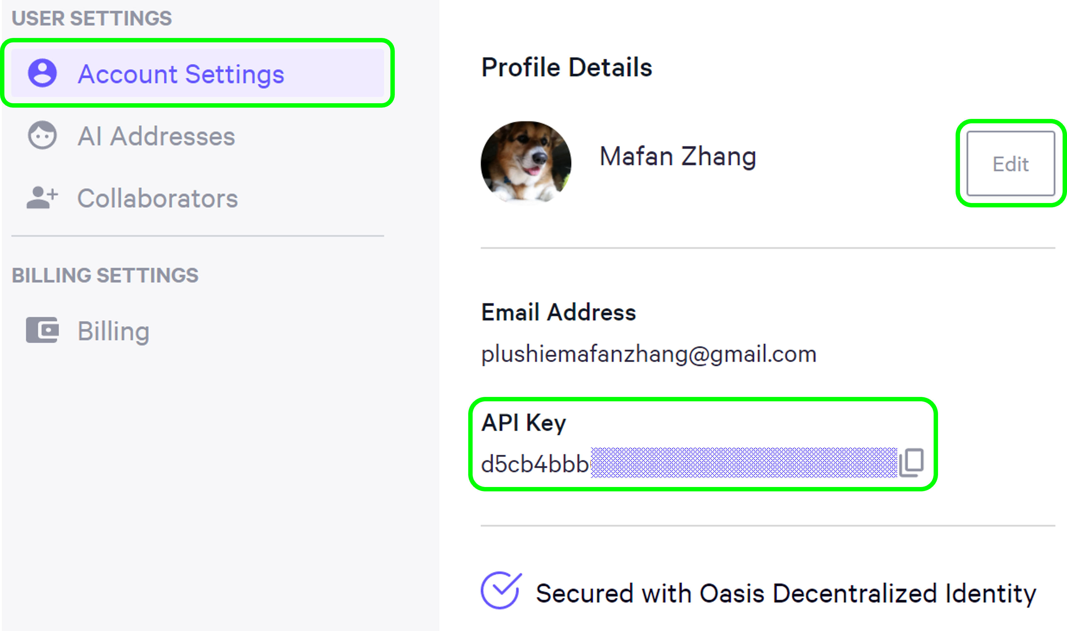 Screenshot of API key in Personal.ai settings