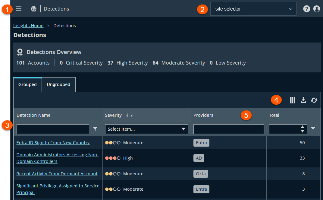 The **Detections** page summarizes areas of potential risk or compromised entities.