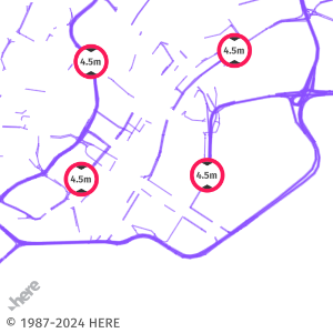 Map image with the base resource type