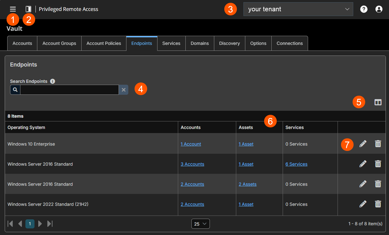 An image of a Privileged Remote Access interface showing the Endpoints tab. The interface includes navigation options for Accounts, Account Groups, Account Policies, Endpoints, Services, Domains, Discovery, and Options