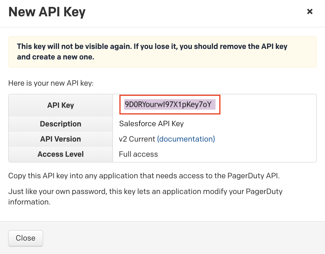 Copy API key