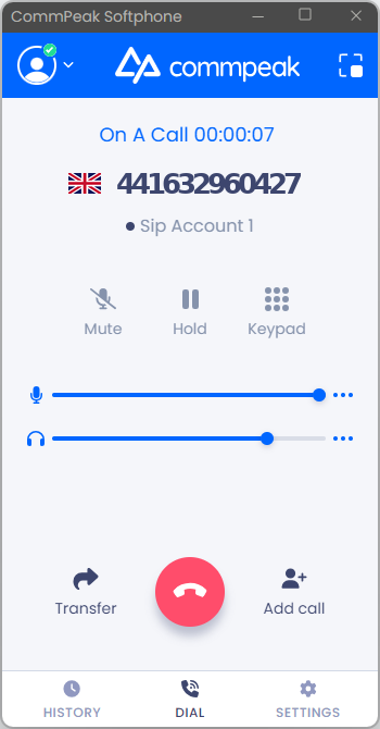 Screenshot of the active call in the full mode