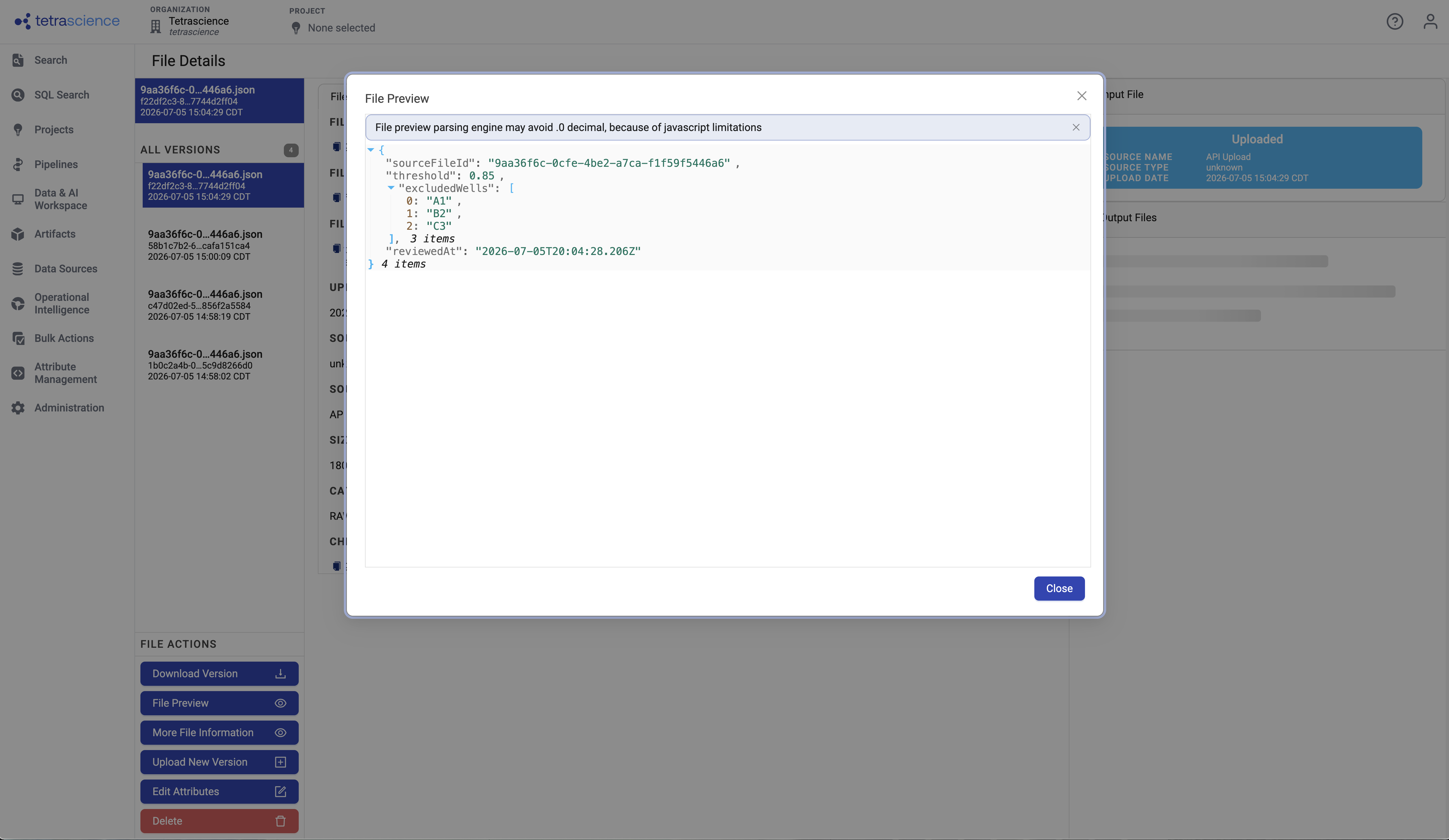 data lake File Details of the results JSON showing the saved exclusions