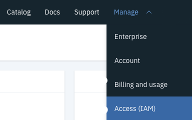 IBM Cloud Control Panel Access (IAM)