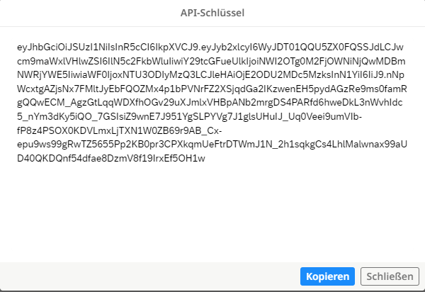 API Schlüssel - Inhalt