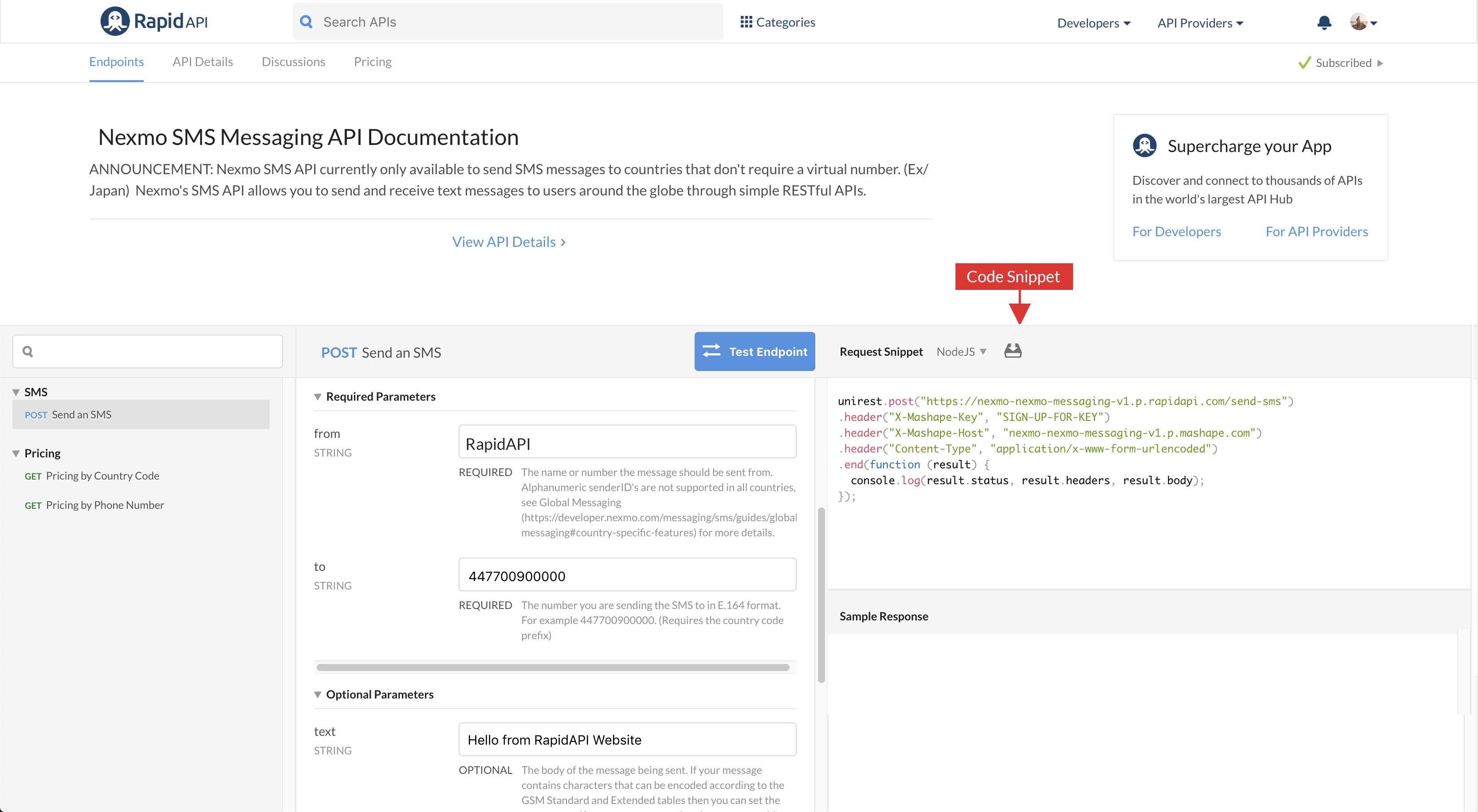 api-page-code-snippet.png