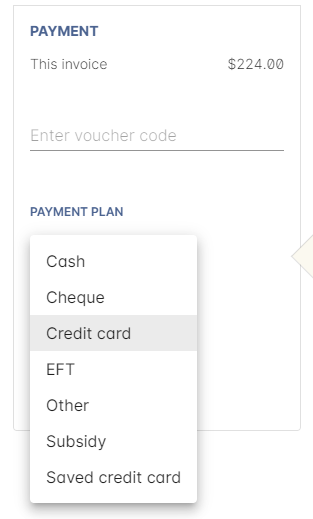 Figure 233. Payment options available via Checkout