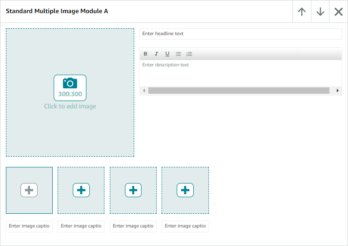 A screenshot of the UI editor for the standard multiple image text module.