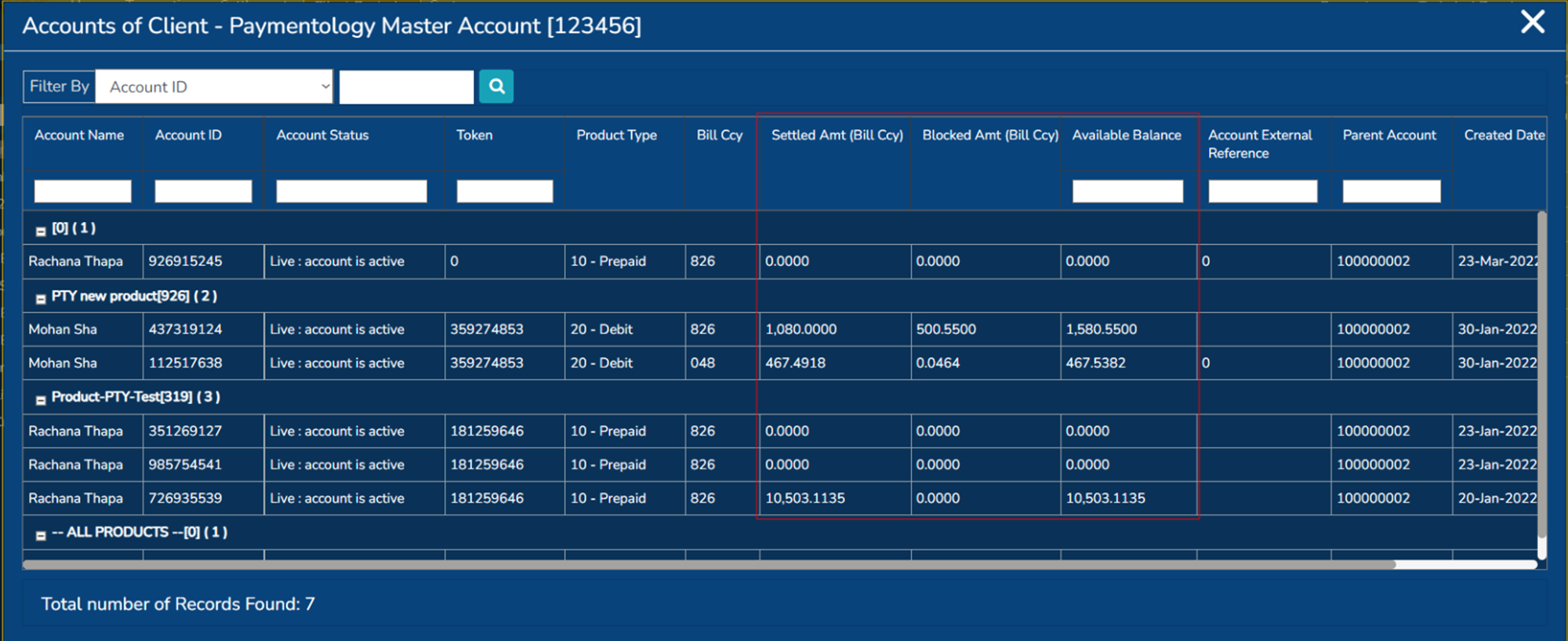 Balance listing in PayControl