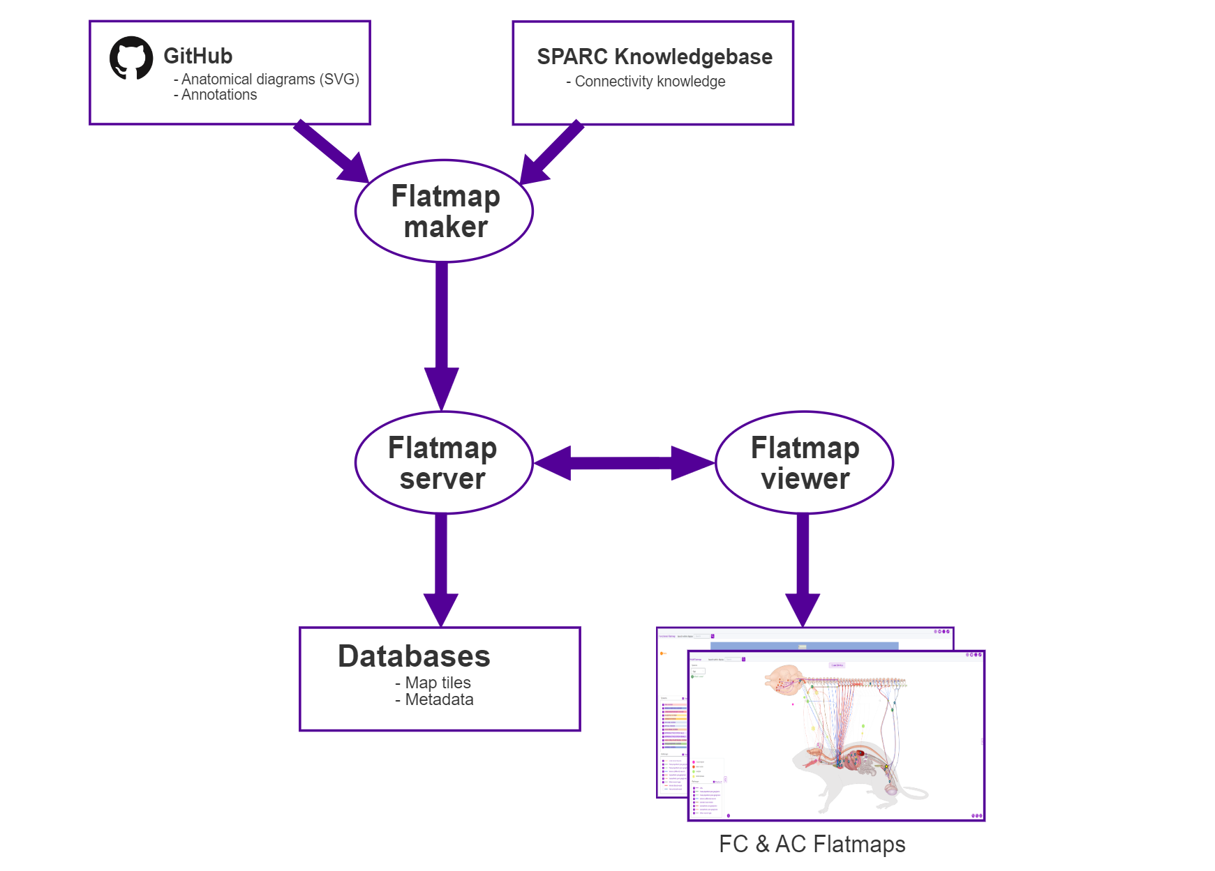The relationship between the flatmaps found on the SPARC portal and their resources