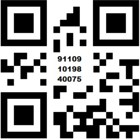 Scan to Pay test environment QR code