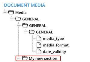 asset_newSection.png