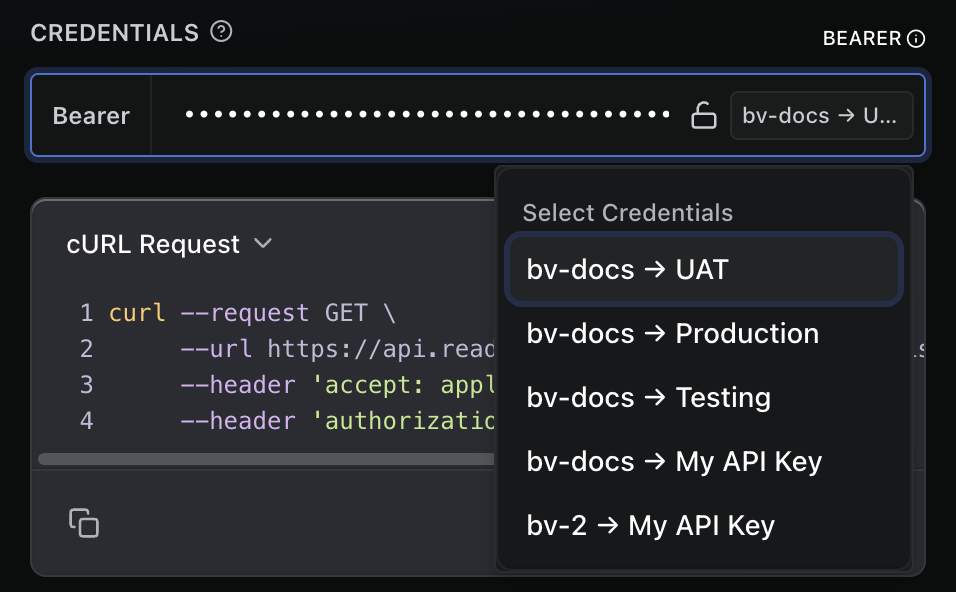 A logged-in user’s list of API keys, which are automatically surfaced in the API reference so the user can immediately start making authenticated API requests 🚀
