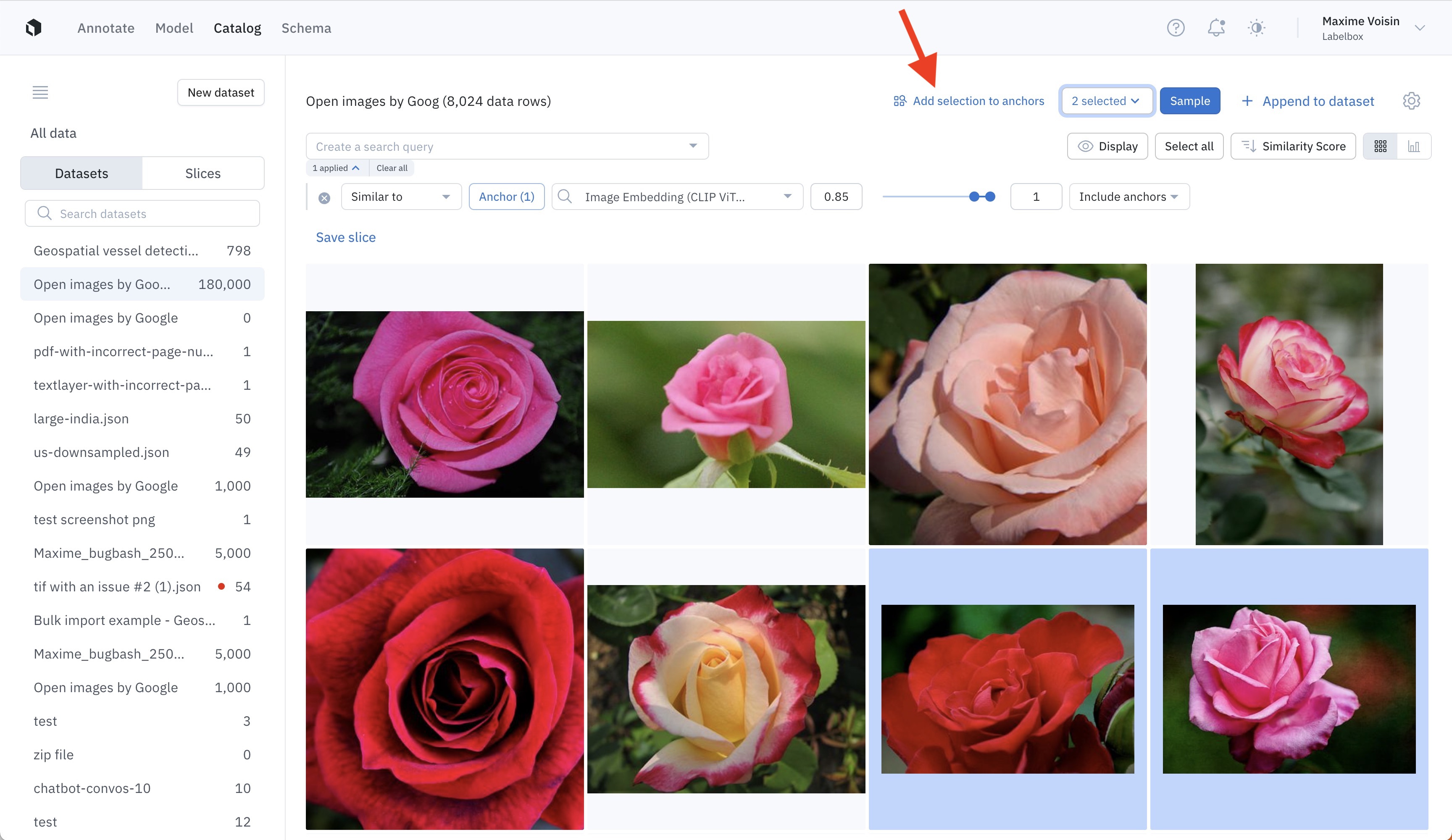 Add selected images as anchors, to refine your similarity search