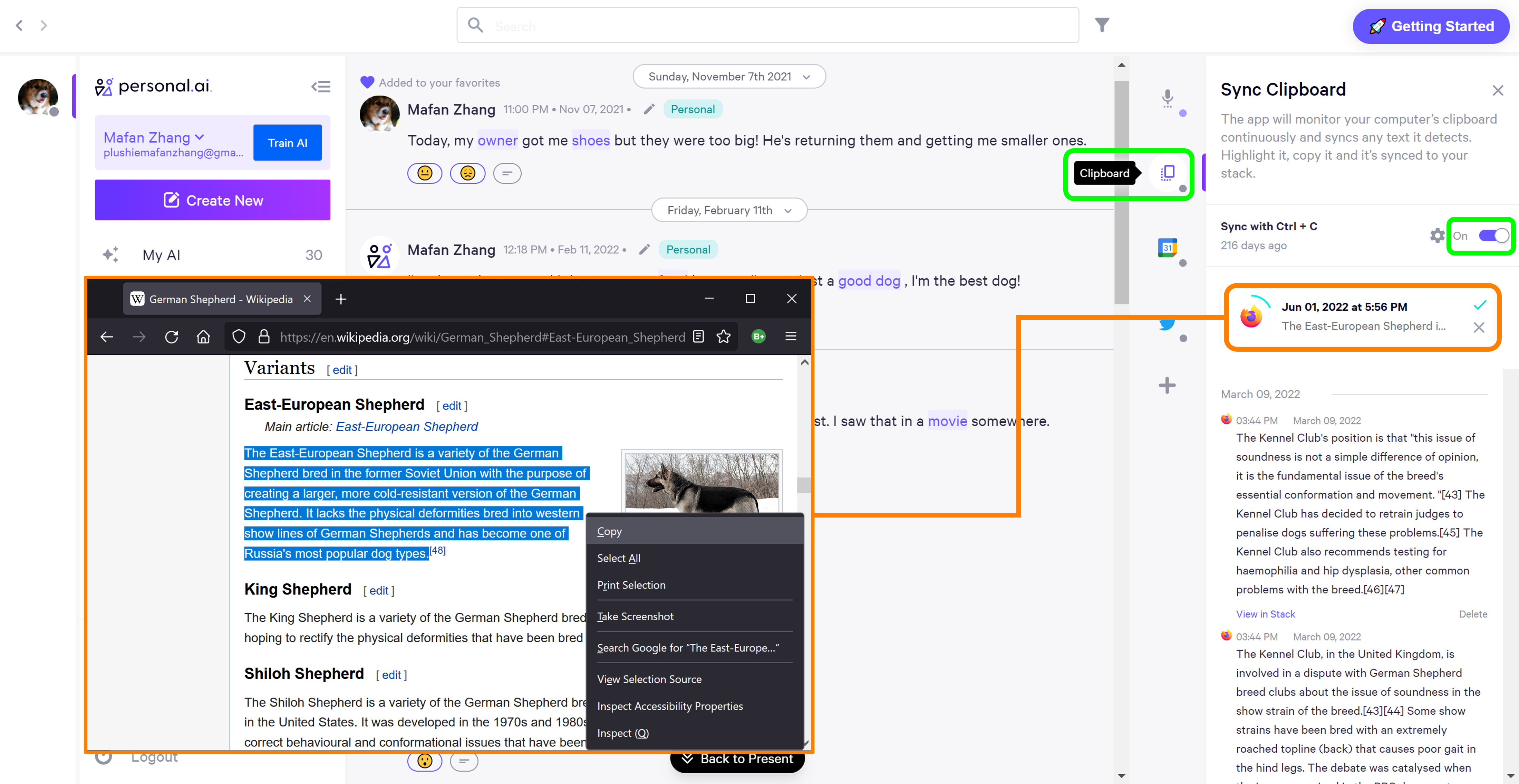 Screenshot of Sync Clipboard being used to record a website