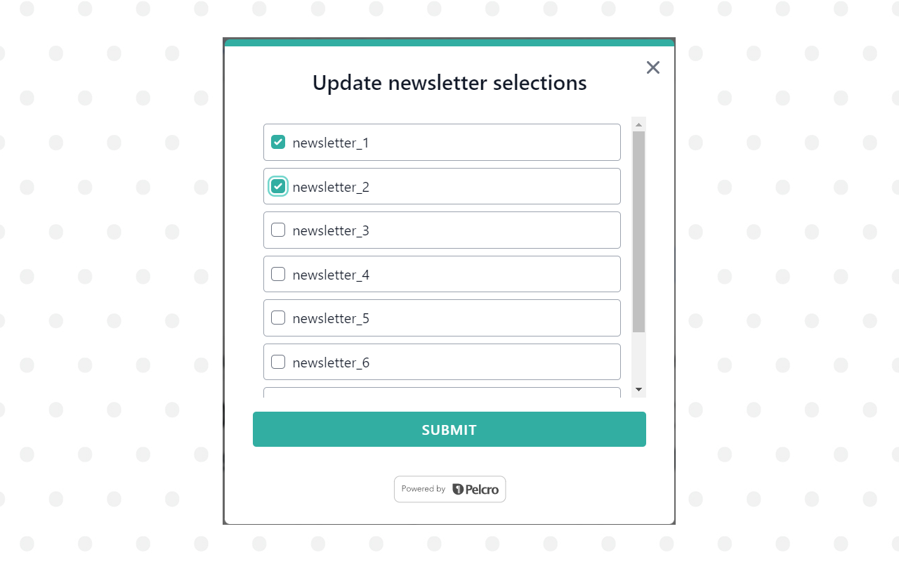 Newsletters Section Interface