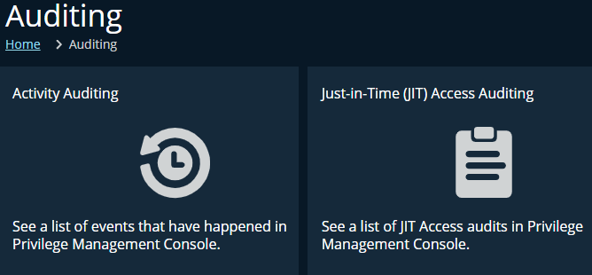 Auditing landing page displaying two tiles