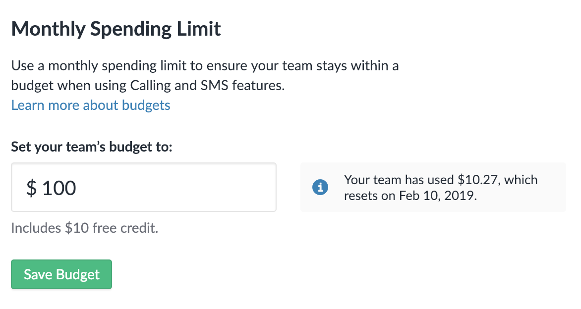 Setting a Monthly Spending Limit for your team.