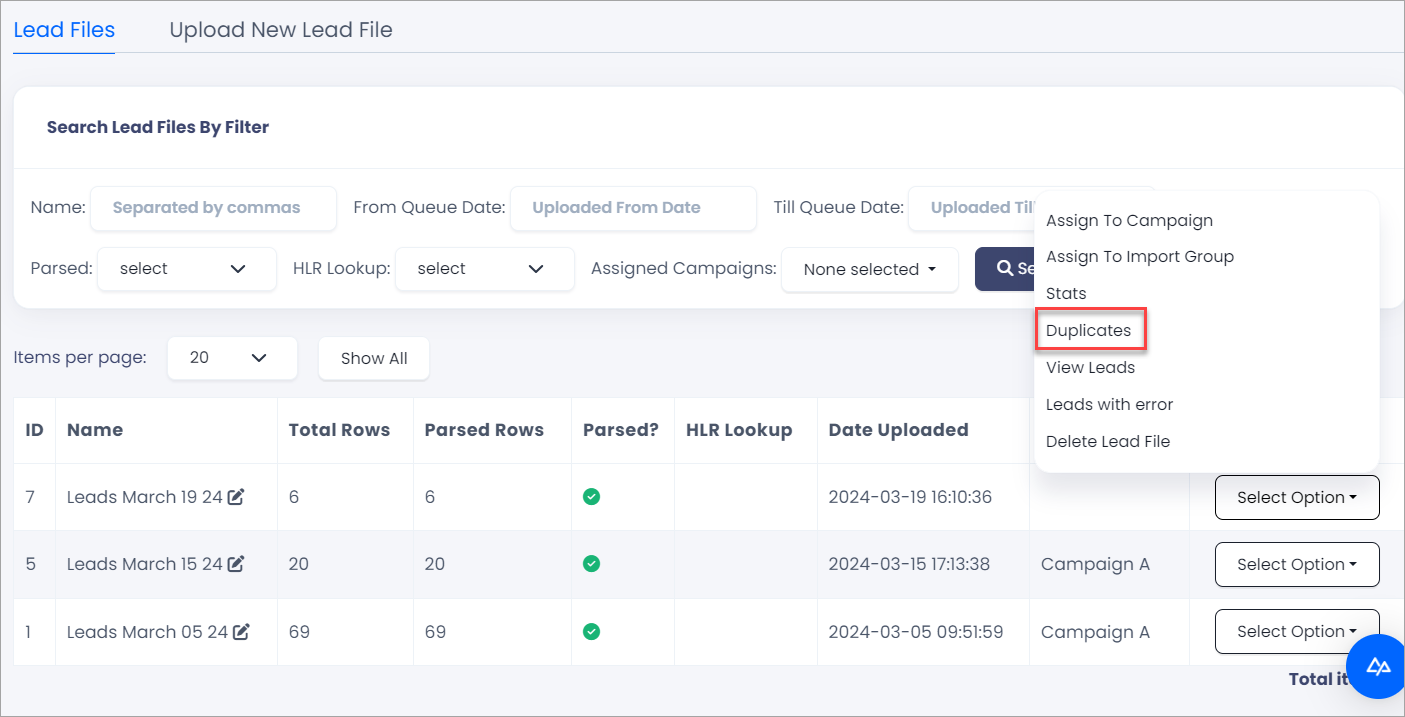 Screenshot of Duplicates in lead file actions